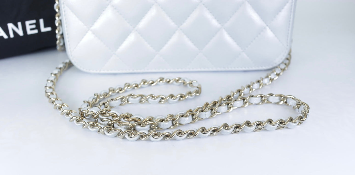 Chanel Metallic Silver Quilted Lambskin Vanity Case | Champagne Gold Hardware