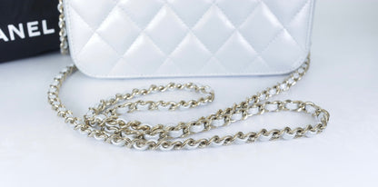 Chanel Metallic Silver Quilted Lambskin Vanity Case | Champagne Gold Hardware