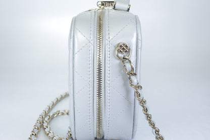 Chanel Metallic Silver Quilted Lambskin Vanity Case | Champagne Gold Hardware