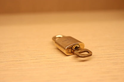 Louis Vuitton Padlock & Key Set | No. 312